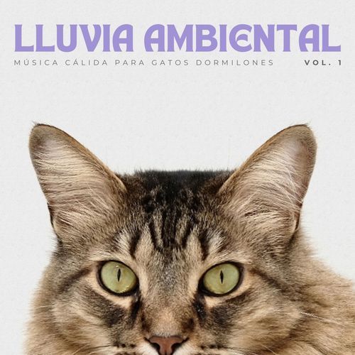 Lluvia Ambiental: Música Cálida Para Gatos Dormilones Vol. 1