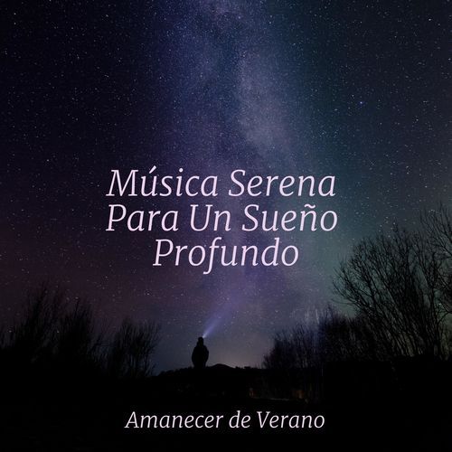Brillo ilusorio cover art