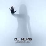 Missing You (Radio Edition)