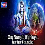 Om Namah Shivaya Har Har Shambho