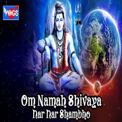 Om Namah Shivaya Har Har Shambho