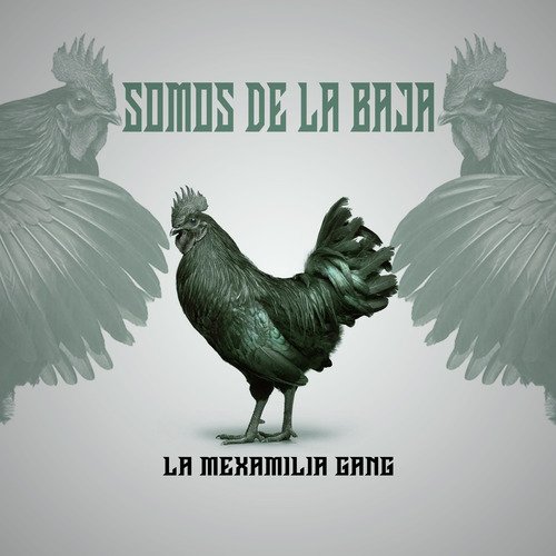 SOMOS DE LA BAJA cover art