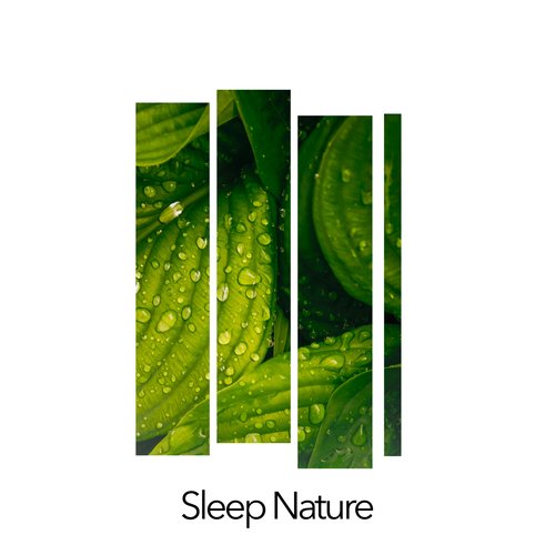 Sleeping Thunderstorm cover art