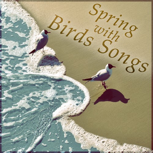 Spring with Birds Songs – Amazing Sound Effects of Birds, Forest Ambience, Morning Bird Calls for Relaxation