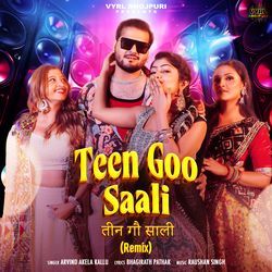Teen Goo Saali (Remix)