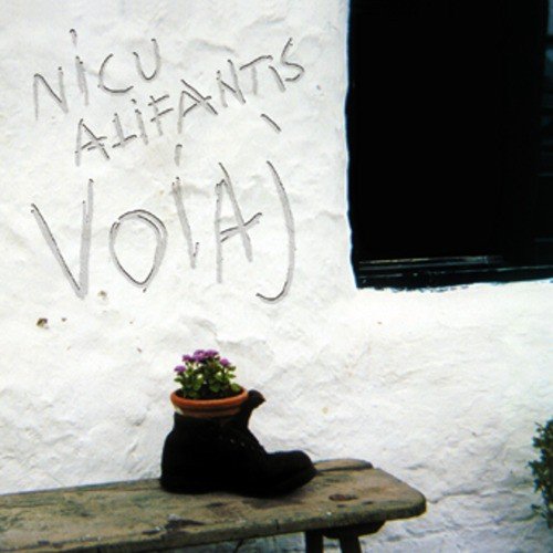 Voiaj cover art