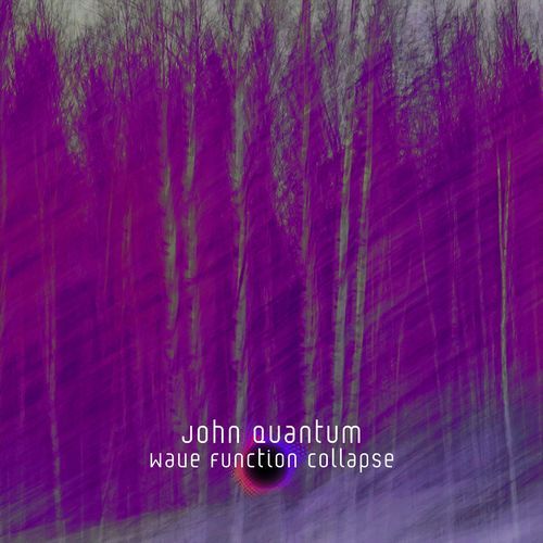 Wave Function Collapse cover art