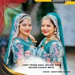 janu thara gaal gulabi hega gulabi lugadi maya