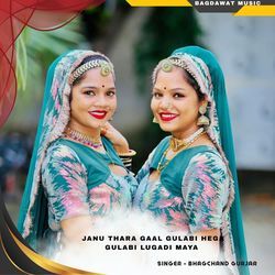 janu thara gaal gulabi hega gulabi lugadi maya