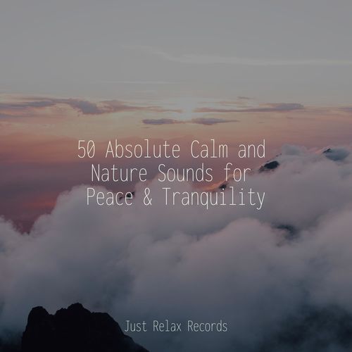 50 Absolute Calm and Nature Sounds for Peace & Tranquility