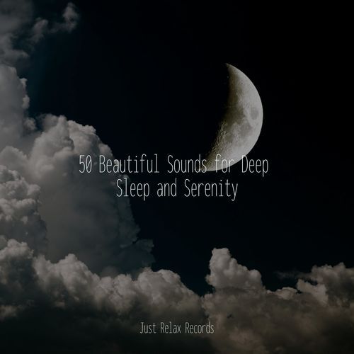 50 Beautiful Sounds for Deep Sleep and Serenity_poster_image