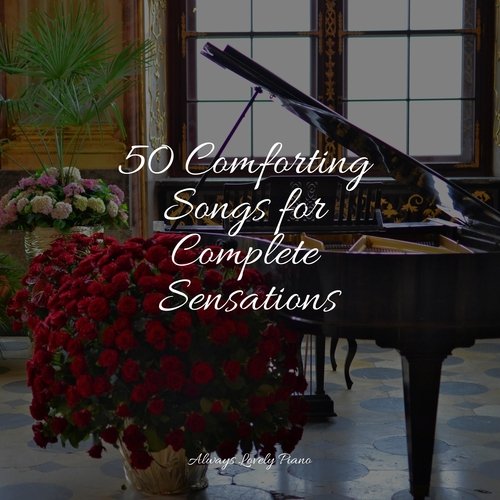 50 Comforting Songs for Complete Sensations_poster_image