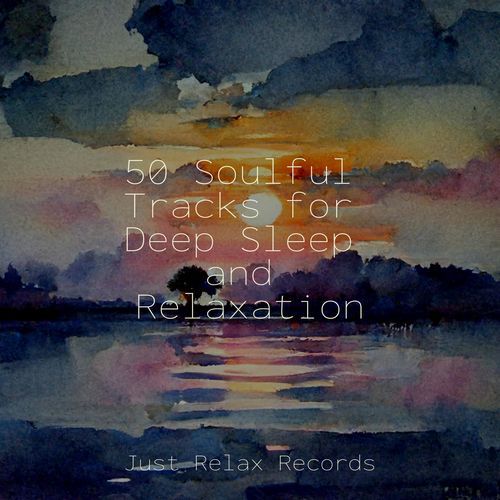 50 Soulful Tracks for Deep Sleep and Relaxation