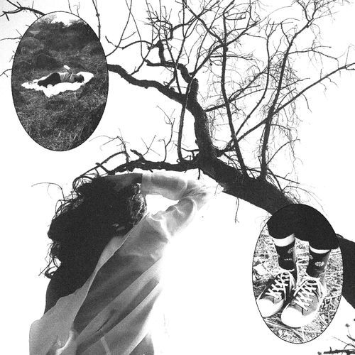 Flores cover art