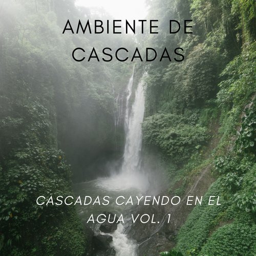 Ruido De Cascadas cover art