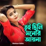 তুই ছিলি মনেরি আয়না