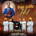 Baba Sahib Idol