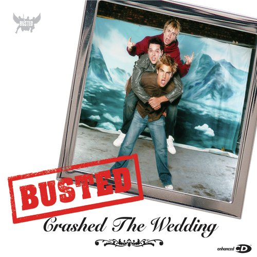 Crashed The Wedding_poster_image