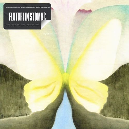Fluturi In Stomac cover art