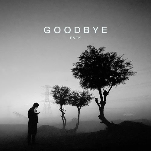 Goodbye