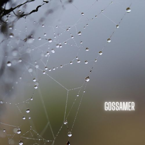 Gossamer cover art