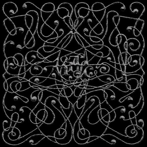 Müller cover art