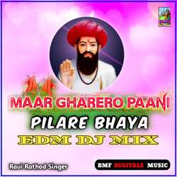 Maar Gharero Paani Pilare Bhaya (EDM DJ MIX)-HwxbXCJ-Alw