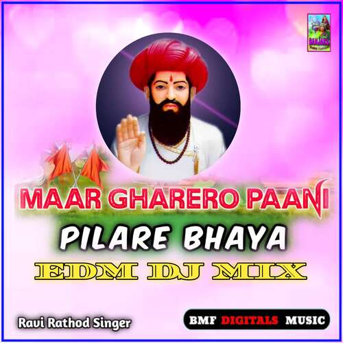 Maar Gharero Paani Pilare Bhaya (EDM DJ MIX)