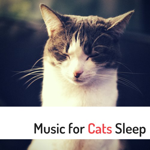 Pet Therapy cover art