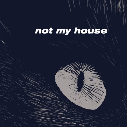 Not My House_poster_image