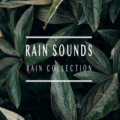 Rain Noises cover art