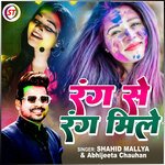 Rang Se Rang Mile (Hindi)