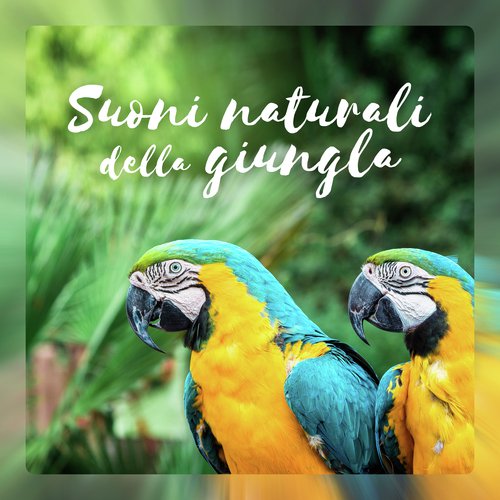 Avventura tropicale cover art