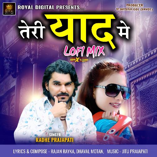 Teri Yaad Me (Lofi Mix)