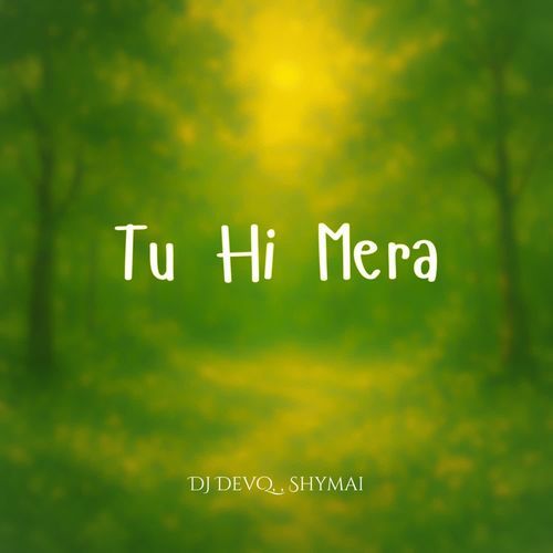 Tu Hi Mera