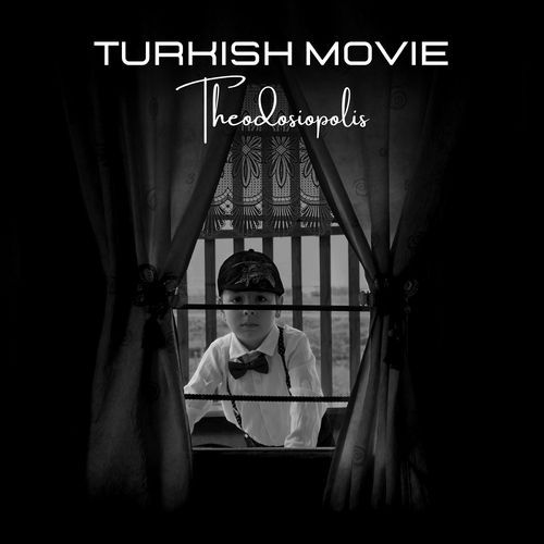 Turkish Movie cover art