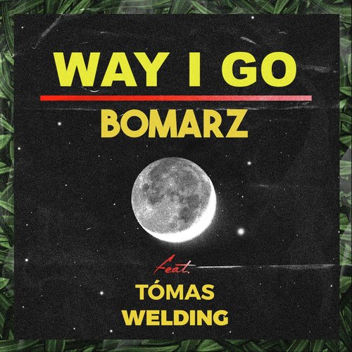 Way I Go (feat. Tómas Welding)