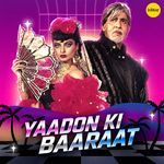 Waada Raha Sanam (From "Khiladi") artwork
