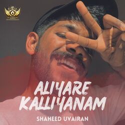 ALIYARE KALLIYANAM-RSJbYThbVWs