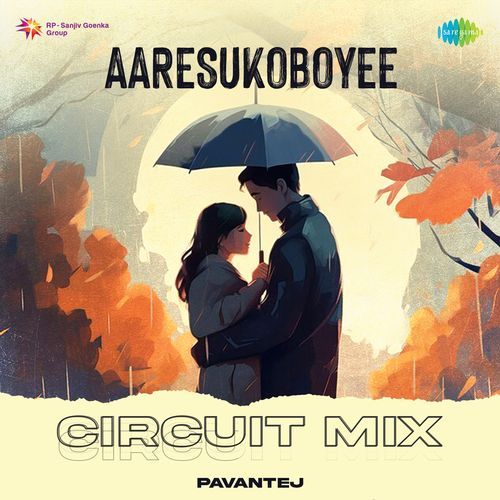 Aaresukoboyee - Circuit Mix