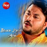 Bhulte Parini Ami