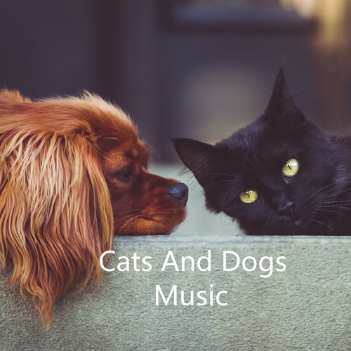 Cat music cover art
