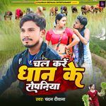 Chal Kare Dhan Ke Ropaniya