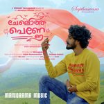 Chelotha Penne (From "Pranayam")