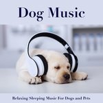 Background Music For Pets While You're Away