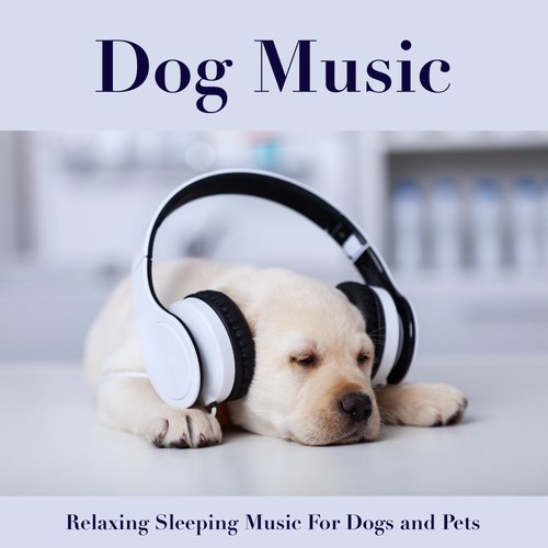 Dog Music For Pets