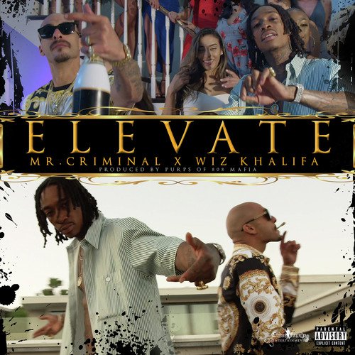 Elevate