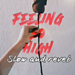 Feeling So High (Slow Reverb)-AxEBQAJ-Y2I