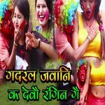 Gadaral Jawani Ka debou Rangin Ge