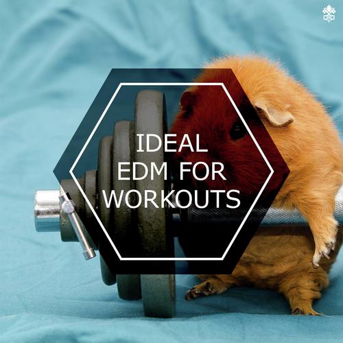 Ideal EDM For Workouts